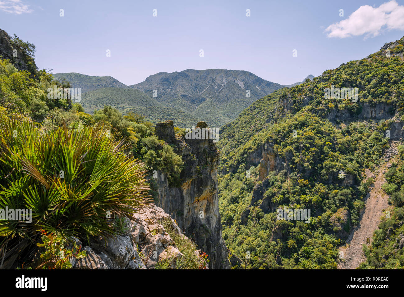 Wooded slopes, The Green Gorge, Garganta Verde, Sierra de Cádiz, Cádiz, Spain Stock Photo