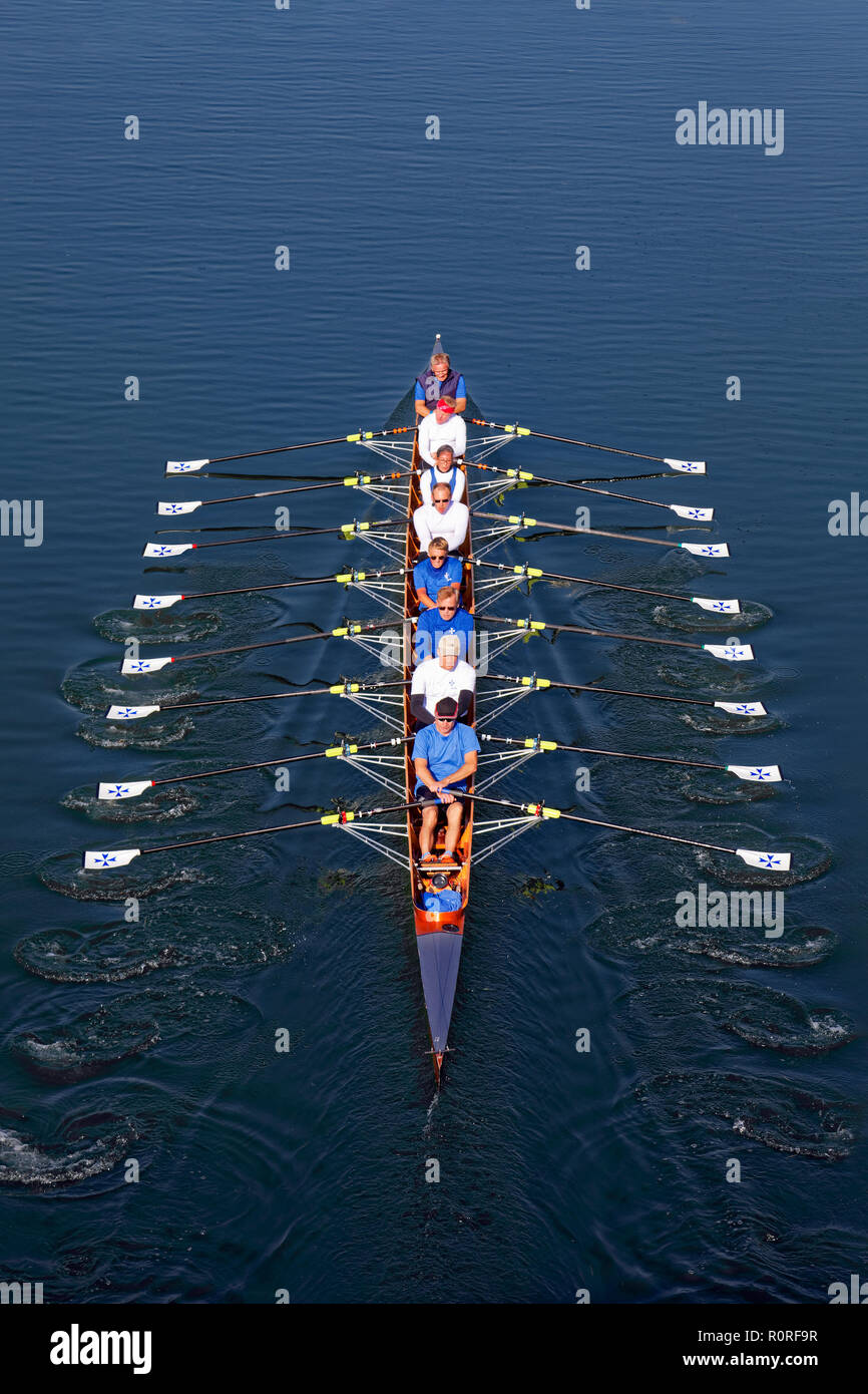 Rowers rowing in rowing boat, eight, Main Danube Canal, near Nürnberg-Katzwang, Middle Franconia, Franconia, Bavaria, Germany Stock Photo