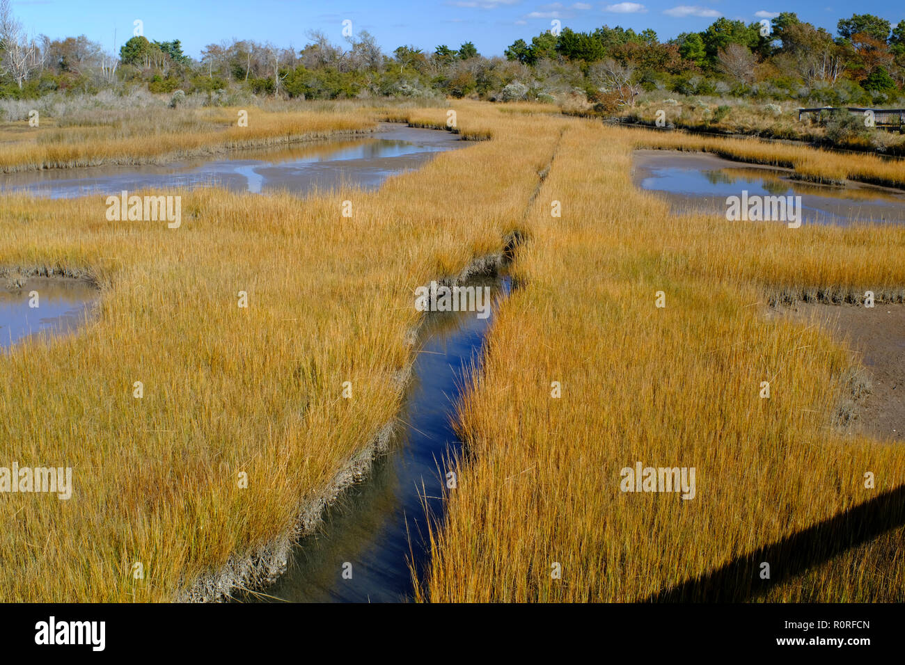 The salt marsh in Assateague Island National Seashore Park Stock Photo