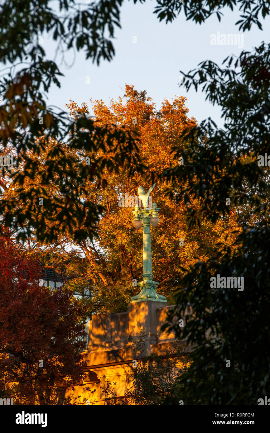 Rock creek park washington dc hi-res stock photography and images - Alamy
