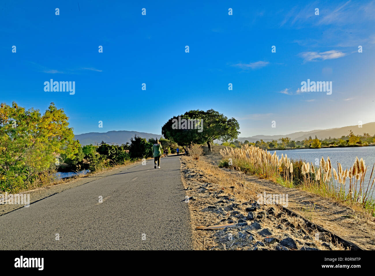 Los Gatos Creek Trail, California Stock Photo - Alamy