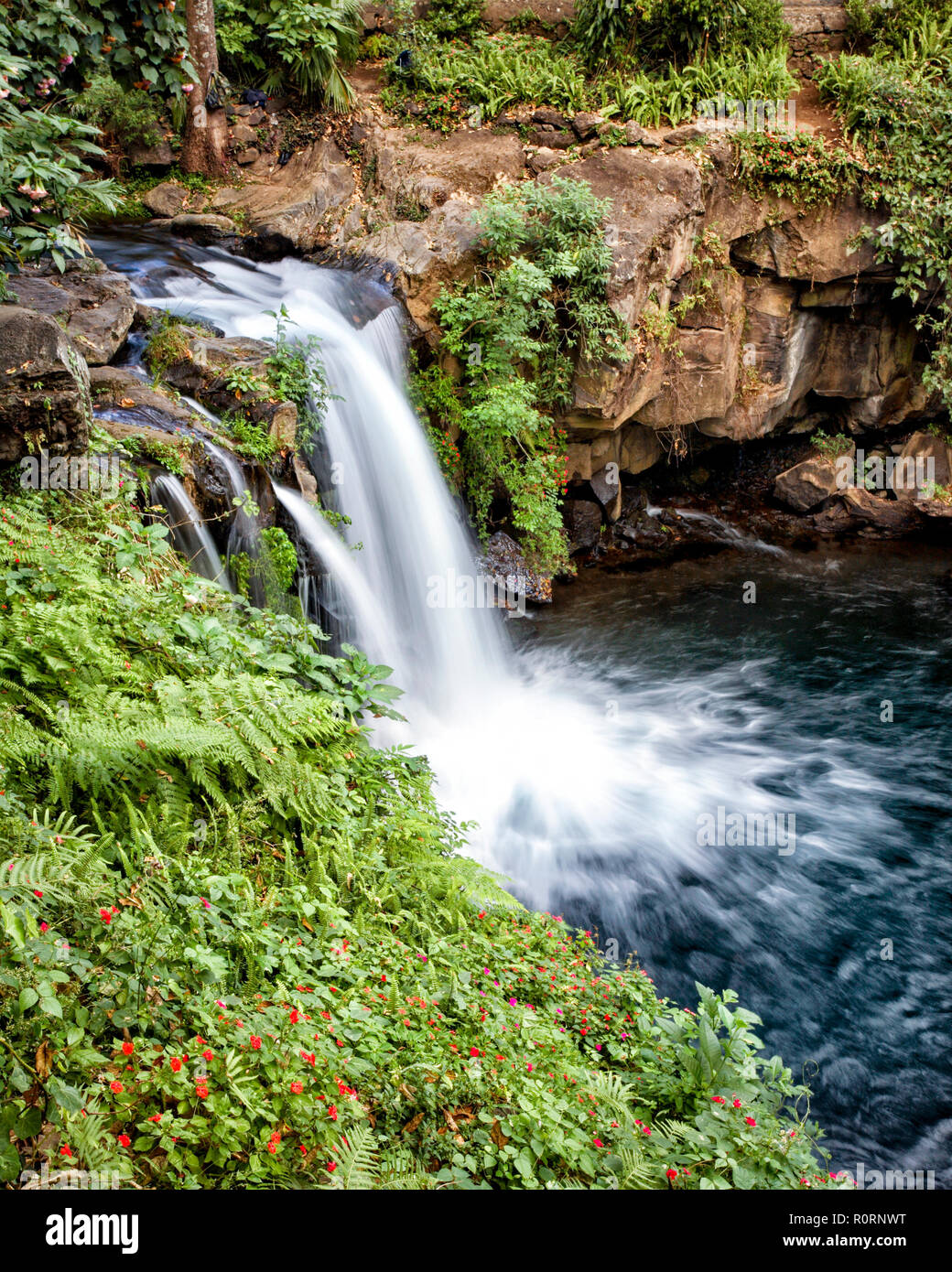 The Golgota Waterfalls of the Cupatitzio River as seen from above in
