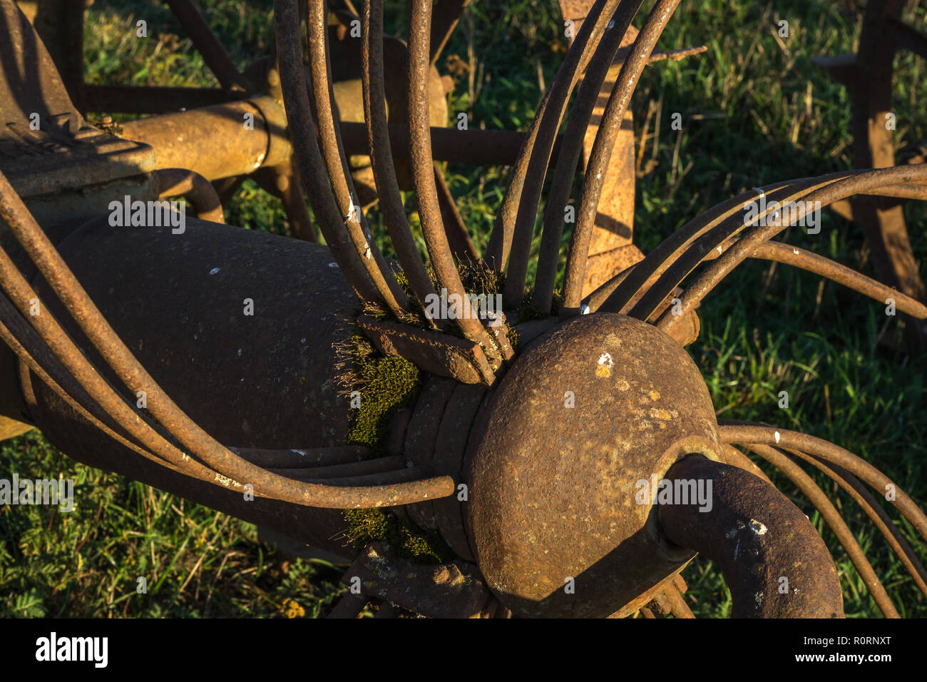 old rusty harrow standing on a field Stock Photo