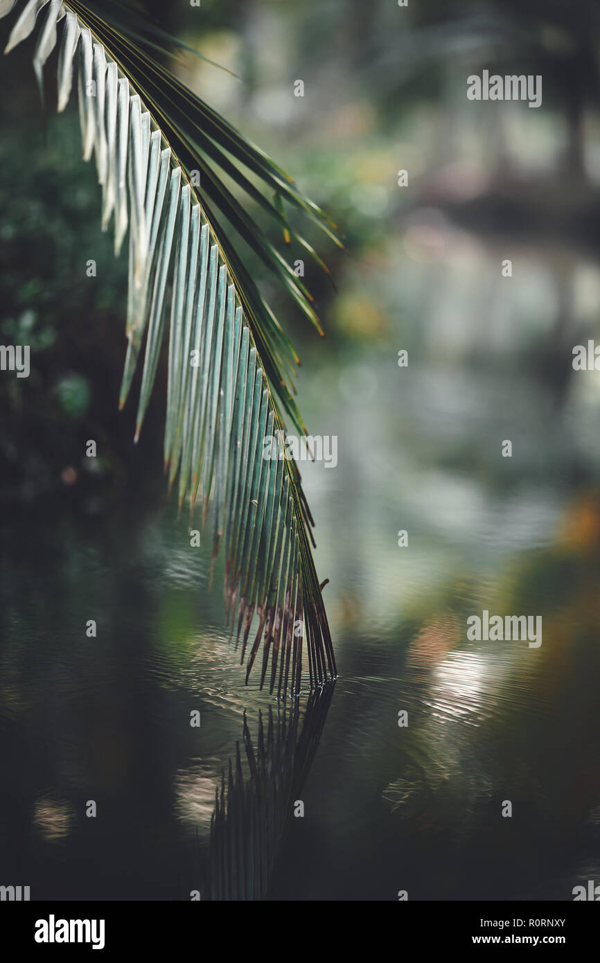 Unseen nature hi-res stock photography and images - Alamy