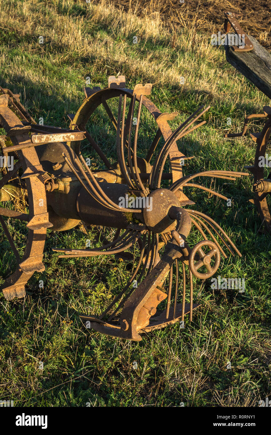 old rusty harrow standing on a field Stock Photo