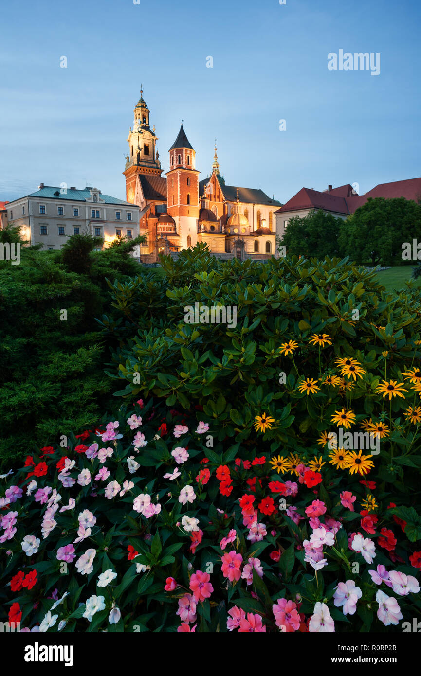 Wawel castle at night with garden at the foreground. Cracow, Poland. Stock Photo