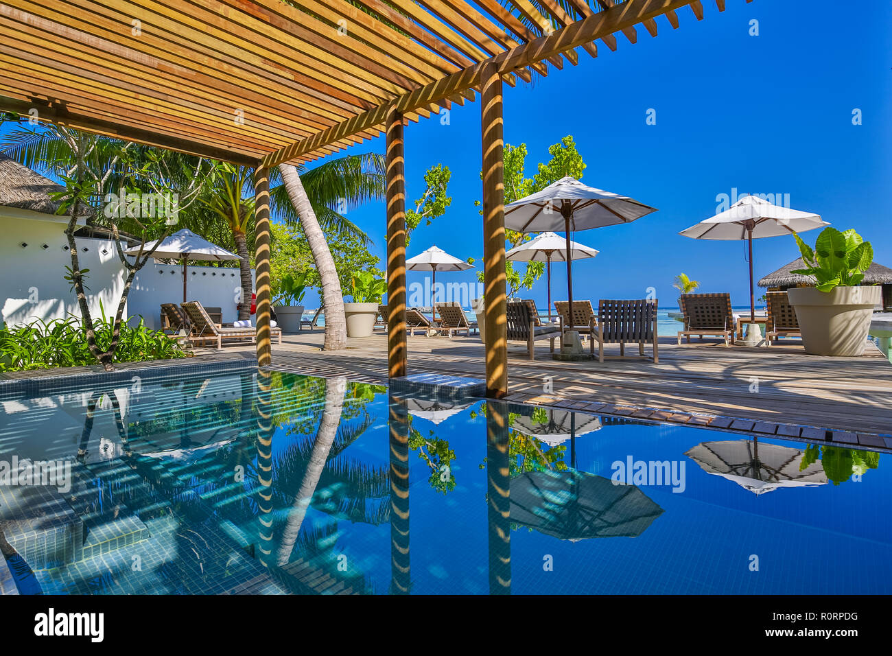 Deck chairs by the pool, luxury spa and outdoors relaxation wooden deck, palm trees and loungers. Luxurious hotel and resort recreational background. Stock Photo