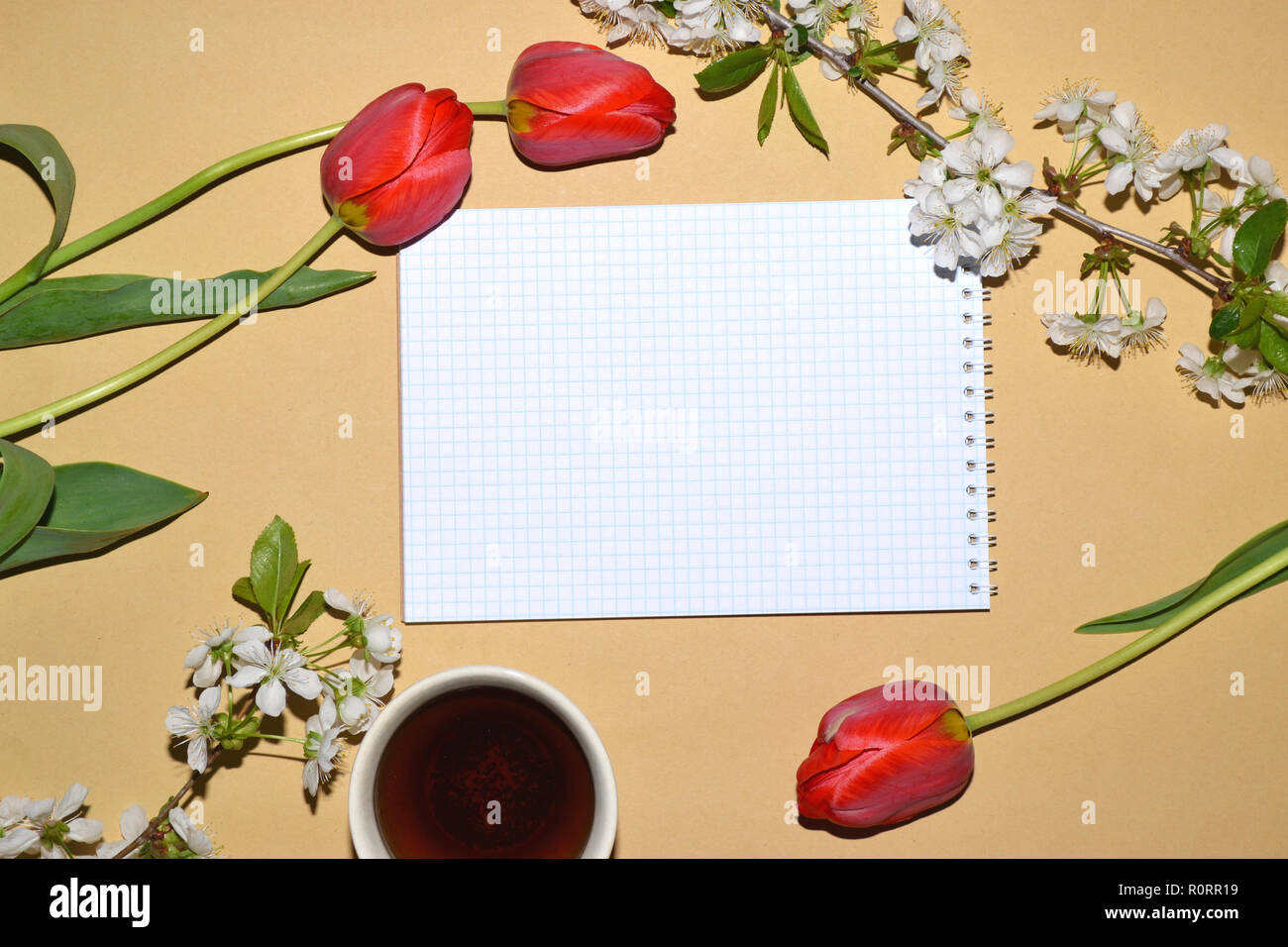 Open Notepad for writing framed with tulips and white flowers, and a Cup of tea. Stock Photo
