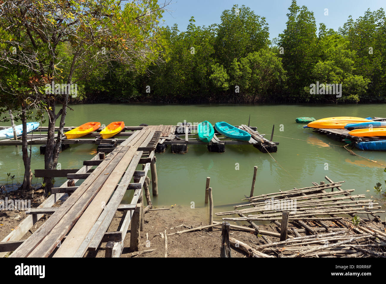 Plastic canoe in a Mangrove landscape in Ko Lanta island, Thailand Stock Photo