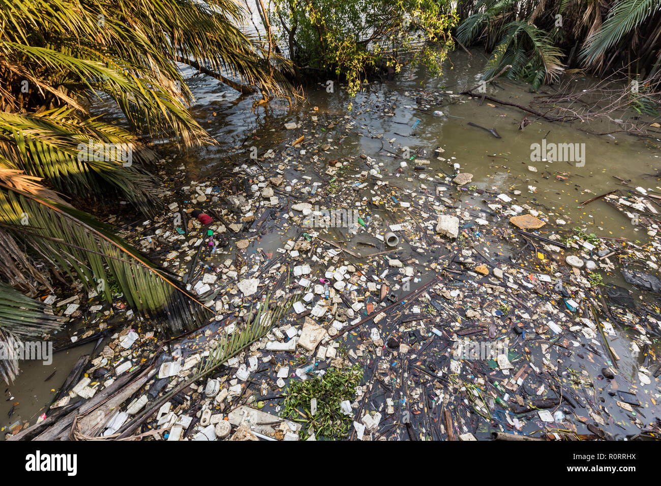 water-rubbish-pollution-with-plastic-and-other-floating-stuffs-in-the-chao-phraya-river-in-bangkok-thailand-R0RRHX.jpg