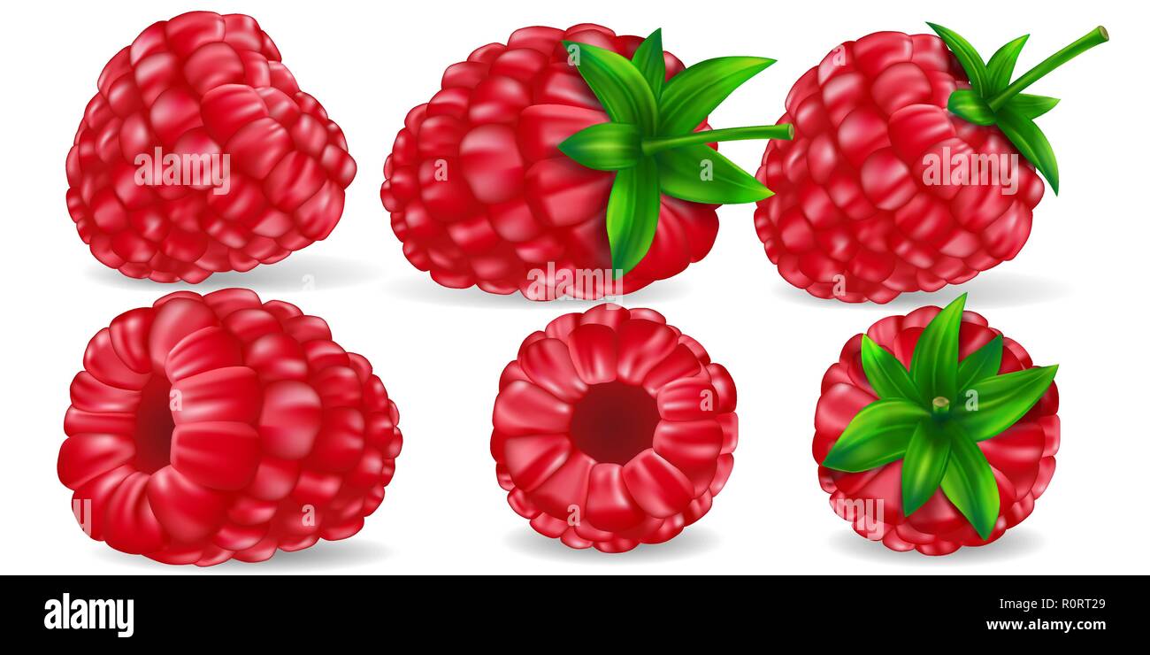 Realistic red Raspberries with Green Leaves. Bright Raspberry isolated for package and design. Healthy Sweet Food Concept. Vector illustration Stock Vector