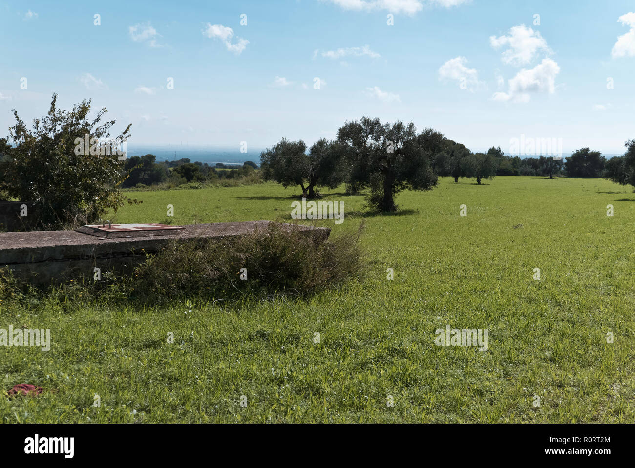 grass field on the hill of Apulian land. Stock Photo