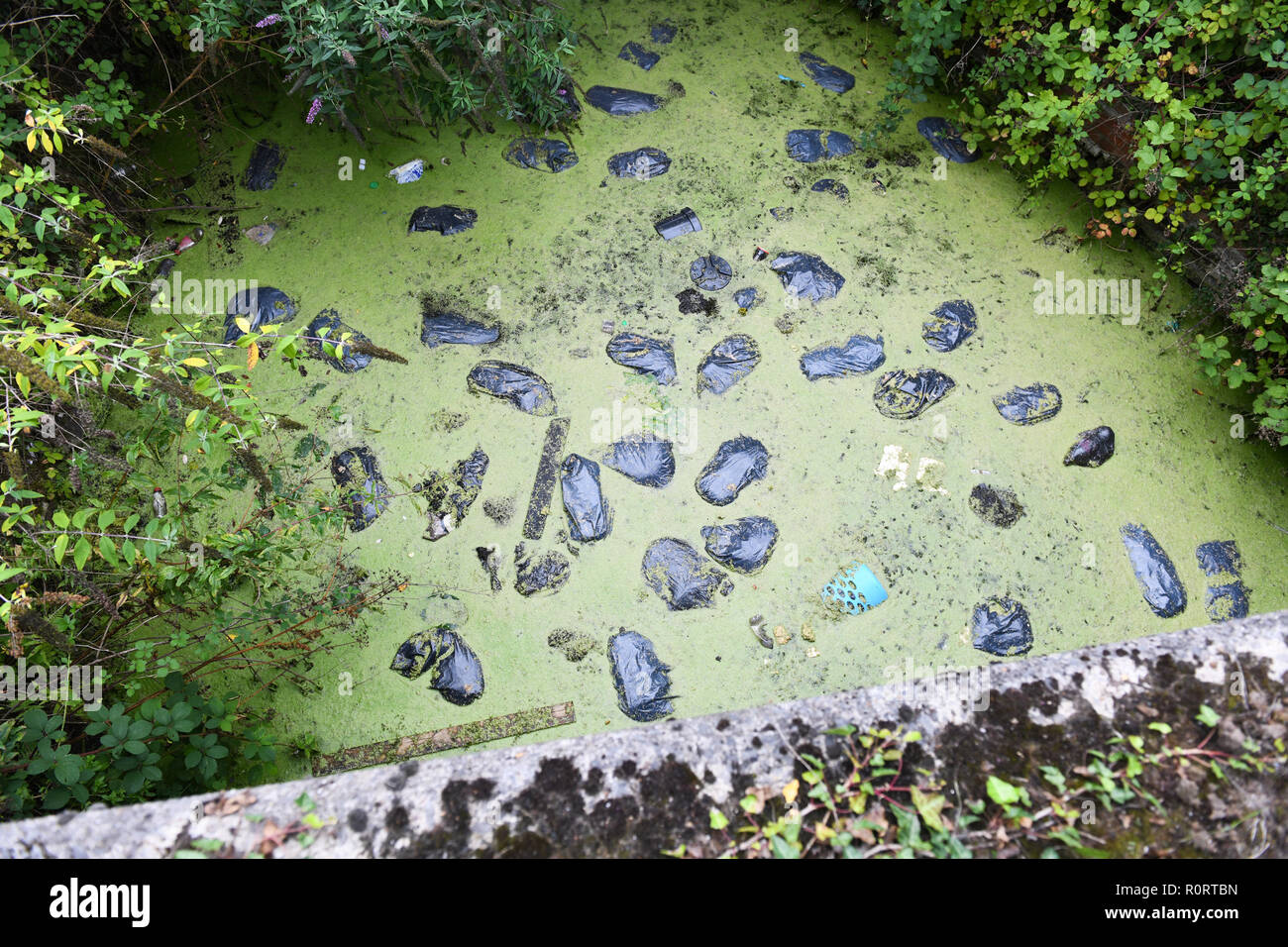 Rubbish which has been dumped in the a canal. The green coloured water is filled with black plastic bags of rubbish. Stock Photo