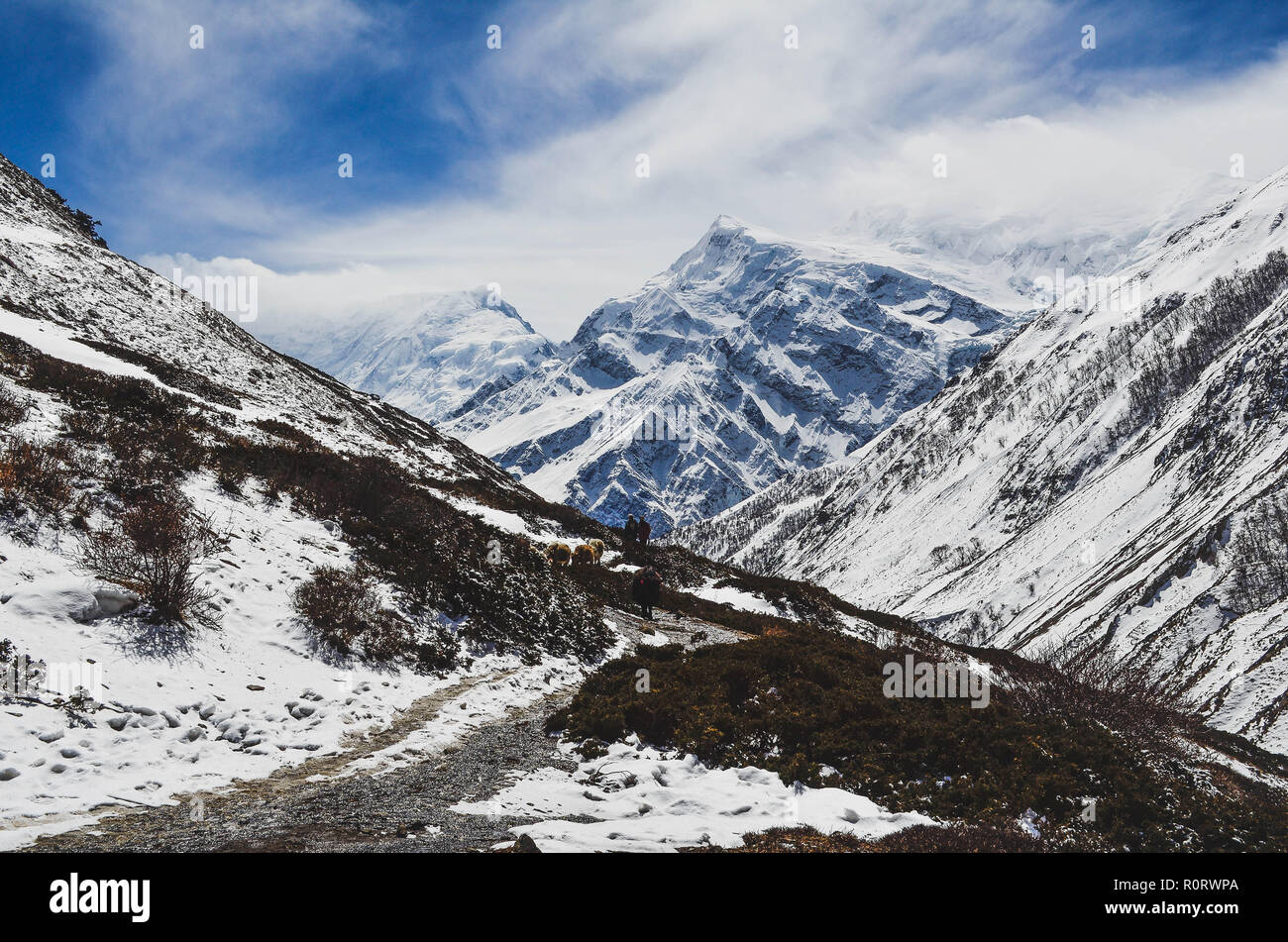 Trekking on the Annapurna Circuit, Nepal Stock Photo - Alamy