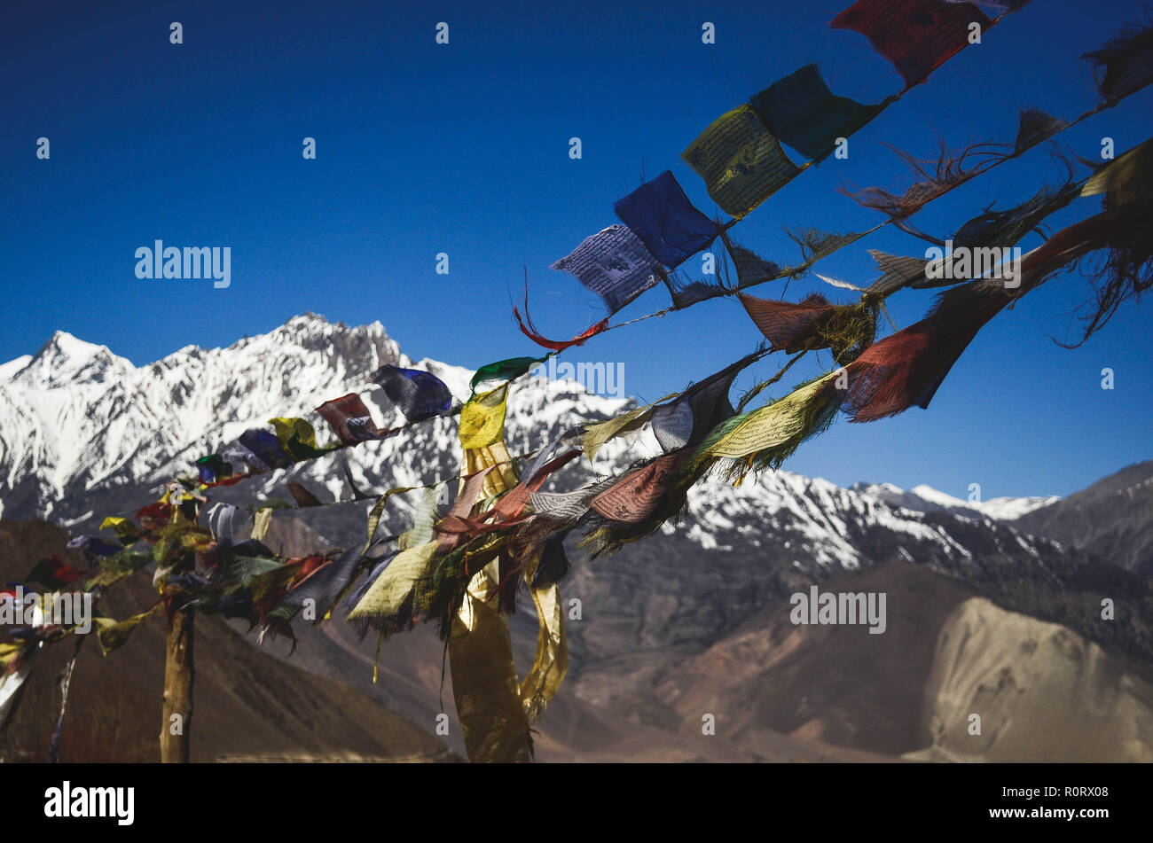 Trekking on the Annapurna Circuit, Nepal Stock Photo - Alamy