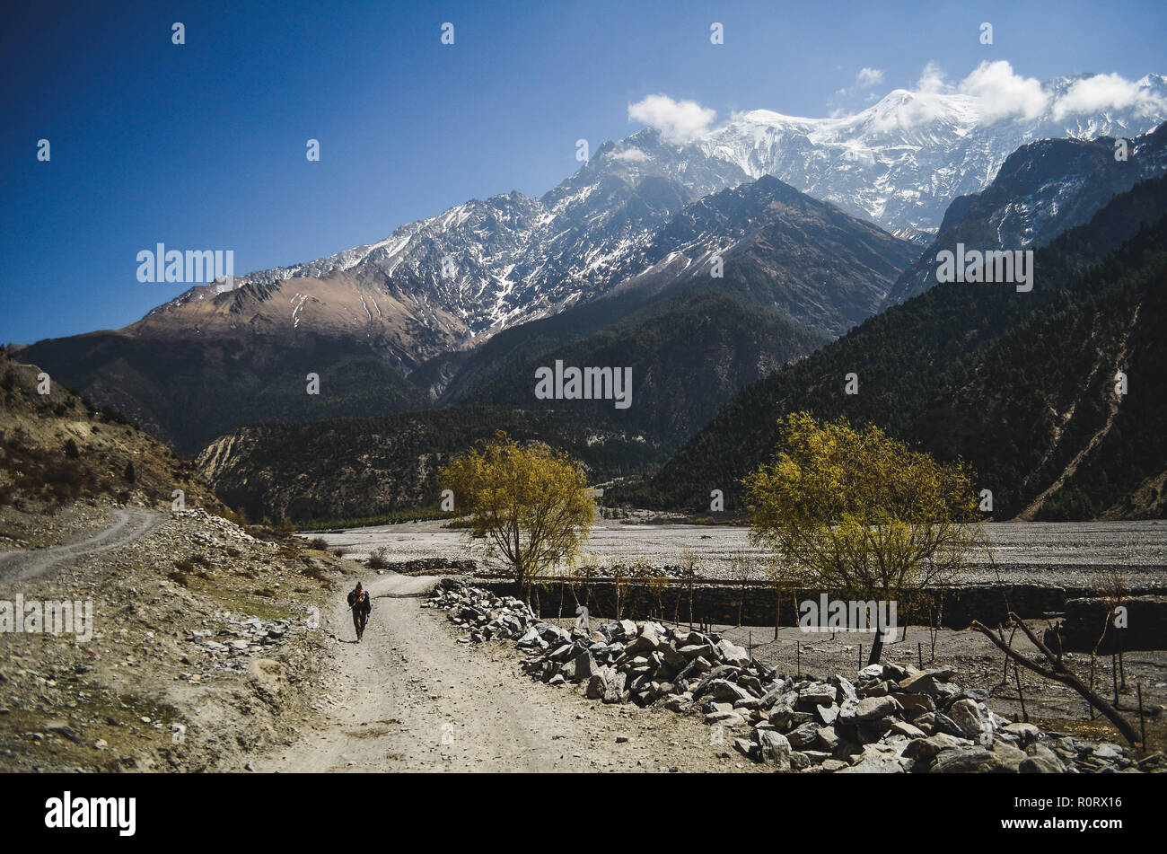 Trekking on the Annapurna Circuit, Nepal Stock Photo - Alamy