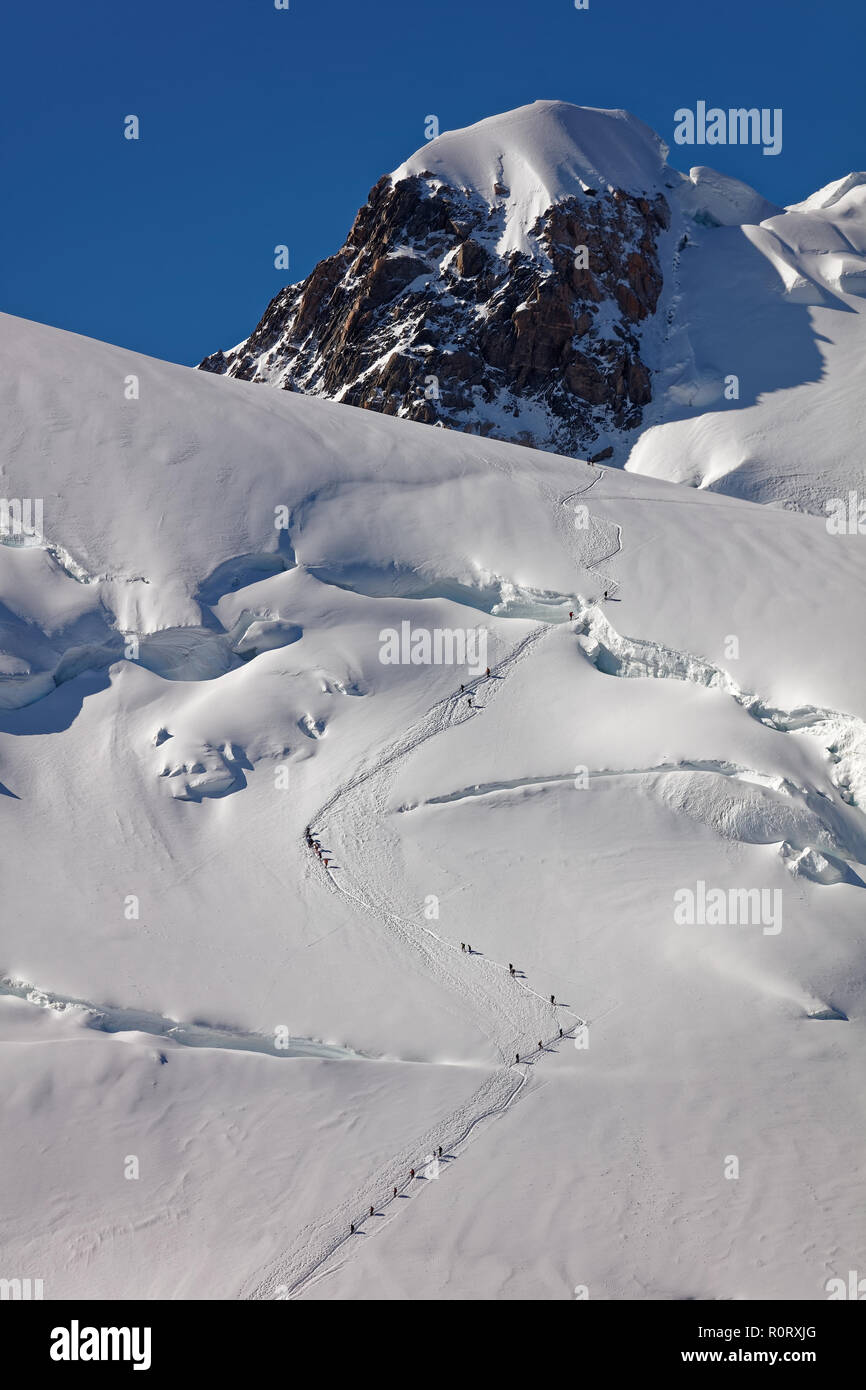 Pointe Lachenal, Chamonix, south-east France, Auvergne-Rhône-Alpes. Climbers heading for Mont Blanc - scaling Pointe Lachenal's glacier crevasse with  Stock Photo