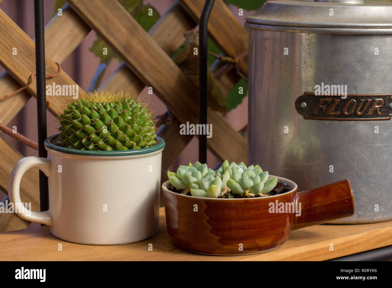 Plastic free gardening plant pots made from upcycled cooking pots and a tin cup growing succulents Stock Photo