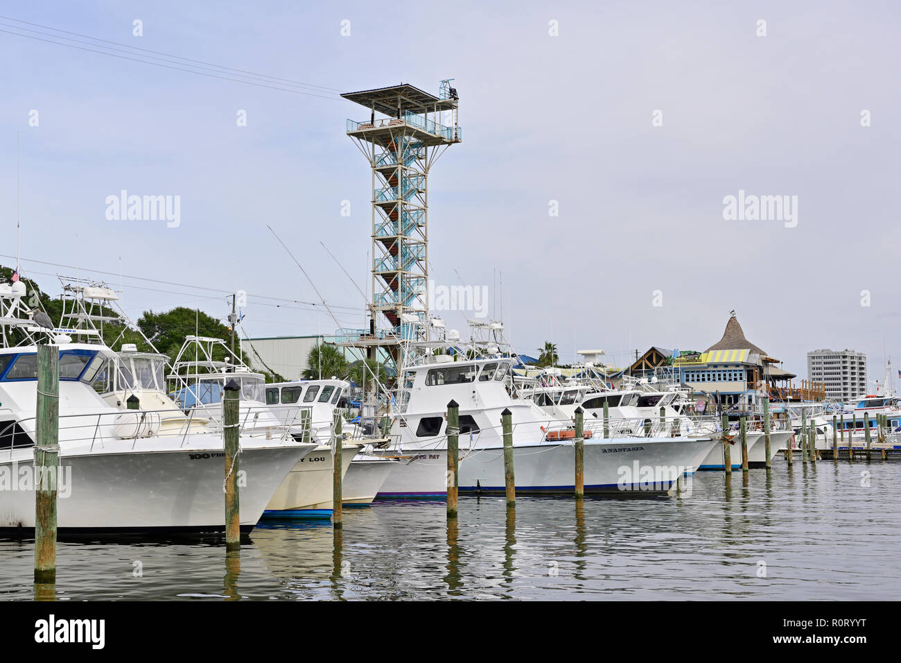 Part of the Destin commercial charter fishing fleet or boats along the Gulf coast in the Florida panhandle at Harbor Walk Marina, Destin Florida USA. Stock Photo