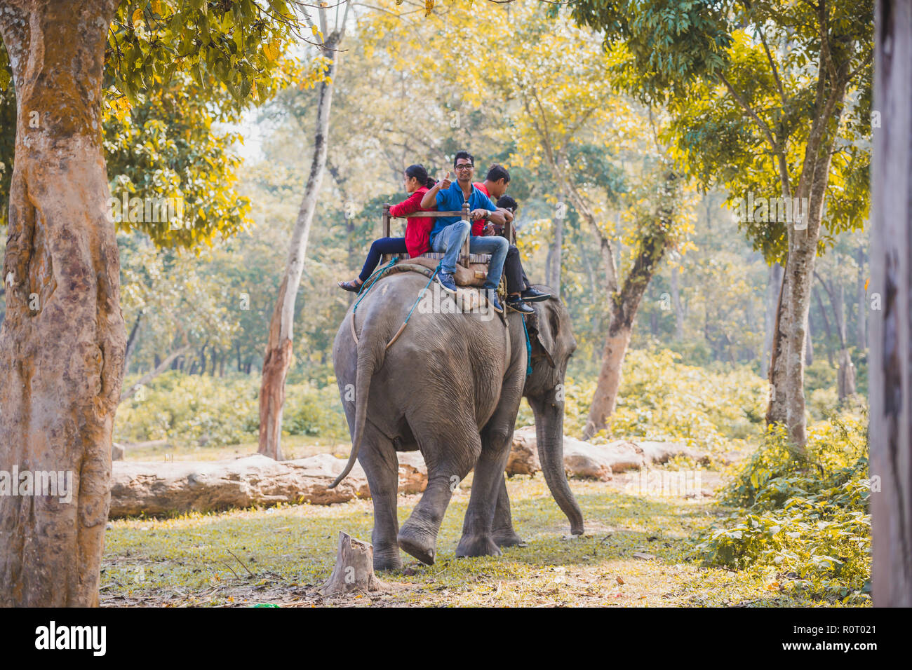 Chitwan,Nepal - Oct 23,2018: Elephant Safari,Group of Tourists riding ...