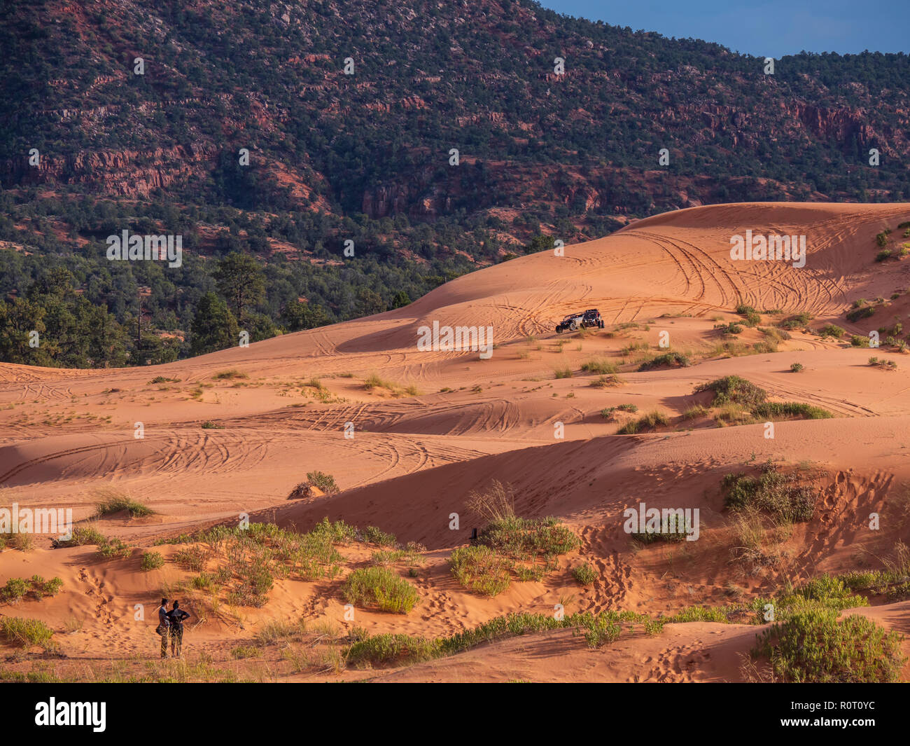 ATV on the dunes, Coral Pink Sand Dunes State Park, Kanab, Utah. Stock Photo