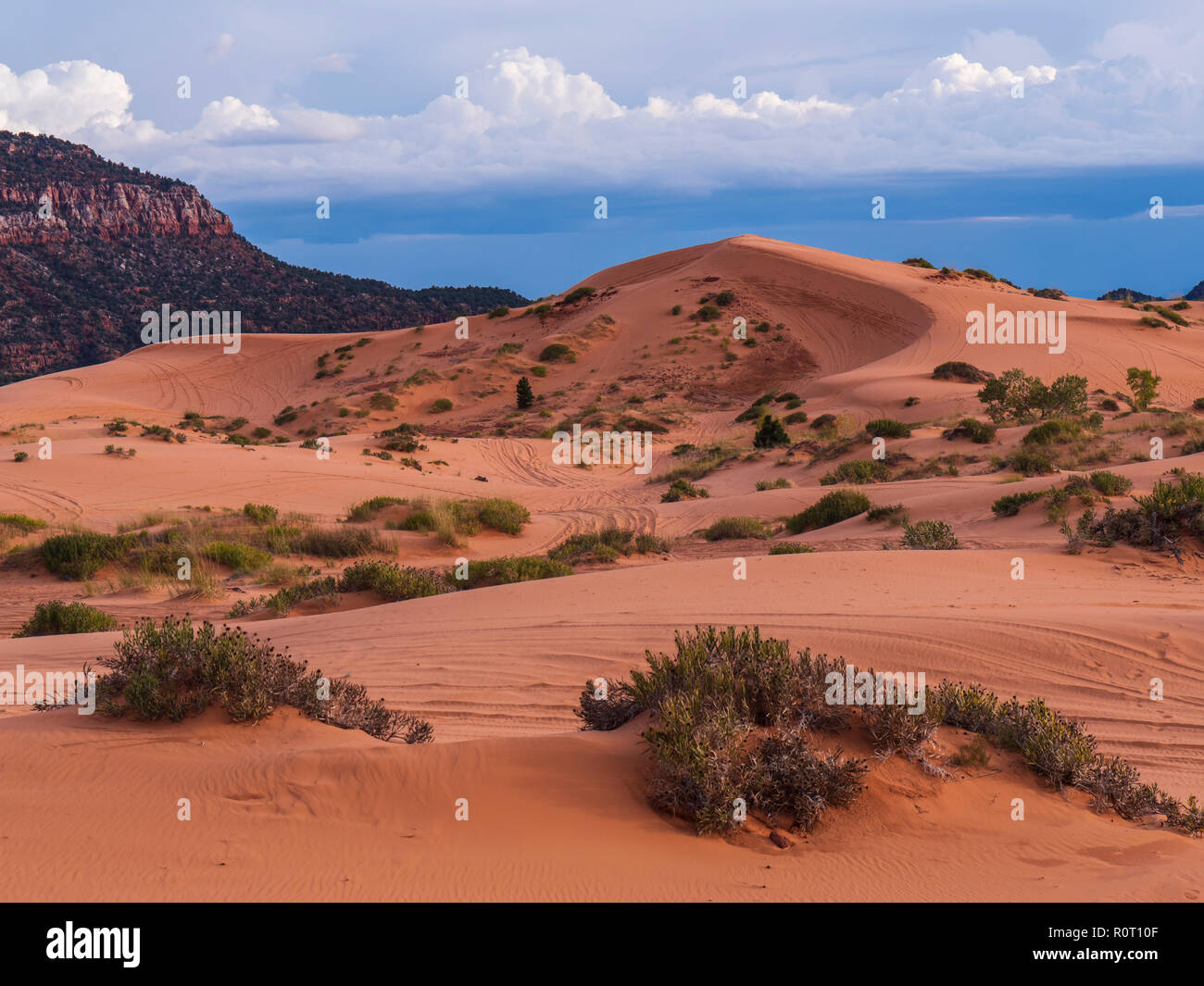Crescent dune, Coral Pink Sand Dunes State Park, Kanab, Utah Stock