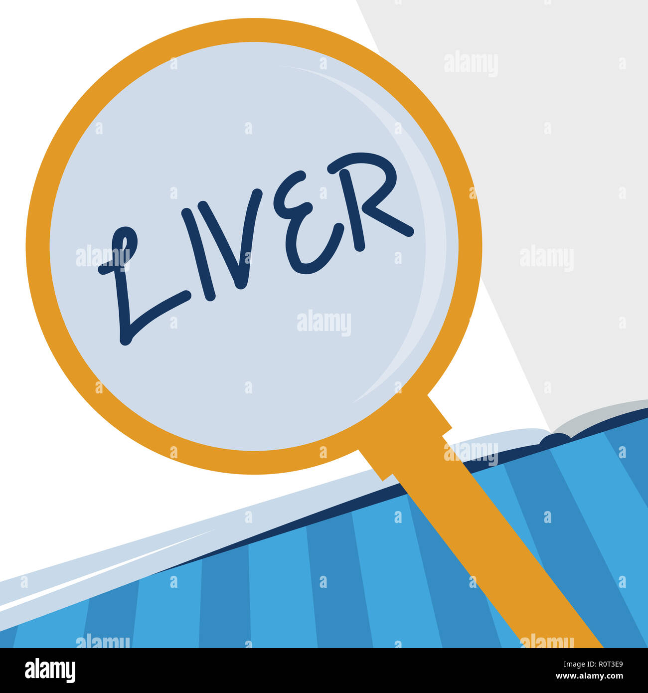 Writing note showing Liver. Business photo showcasing Large lobed