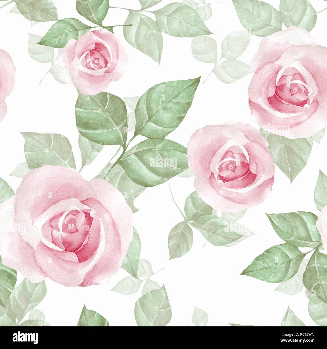 Delicate botanical drawing of hi-res stock photography and images - Alamy