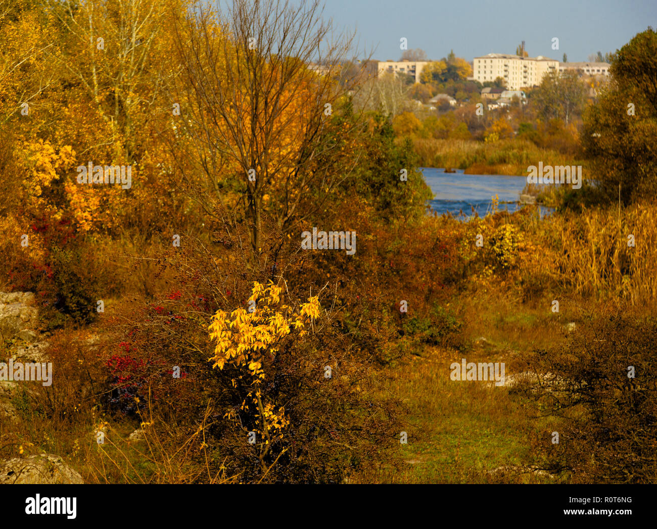 panorama of the stony river bank golden autumn Stock Photo