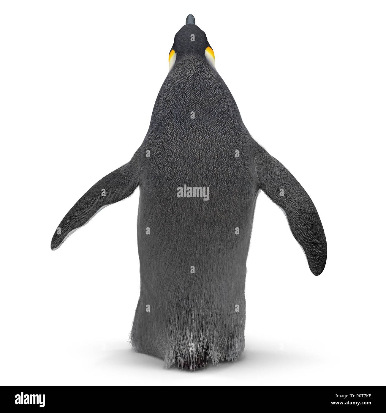 King penguin isolated on white. 3D illustration Stock Photo