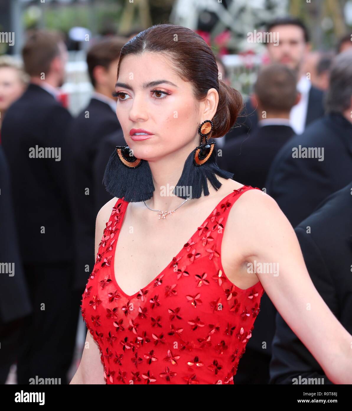 Blanca blanco poirier sauvage hi-res stock photography and images - Alamy