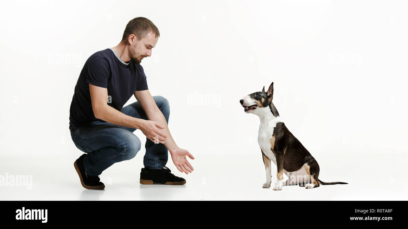 Emotional Portrait of surprised man and his dog, concept of friendship and care of man and animal. Bull Terrier type Dog on white studio background. The concept of humans and animals same emotions Stock Photo