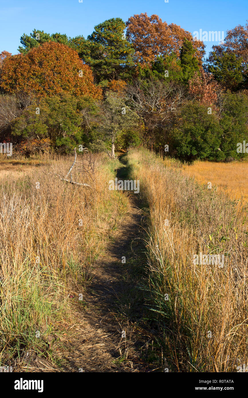 Crowes pasture hires stock photography and images Alamy