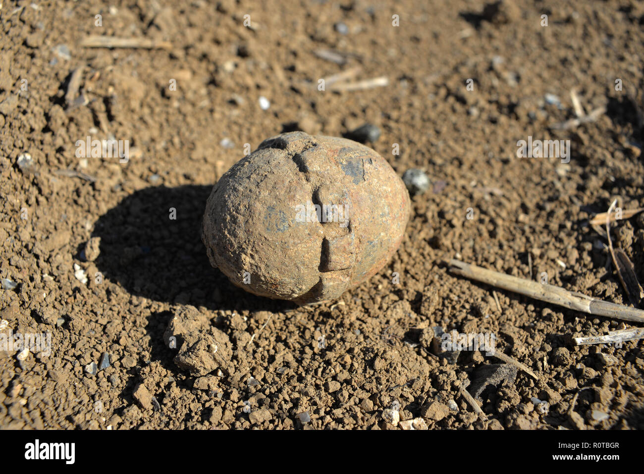 German 'egg' grenade unearthed by spring ploughing, Courcelette, France Stock Photo
