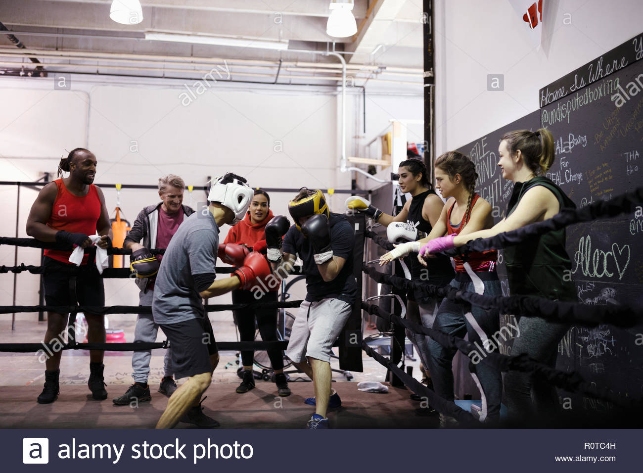 Boxers training in boxing ring in gym Stock Photo Alamy