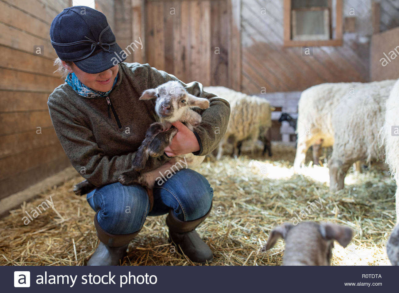 Female farmer holding baby lamb in barn Stock Photo