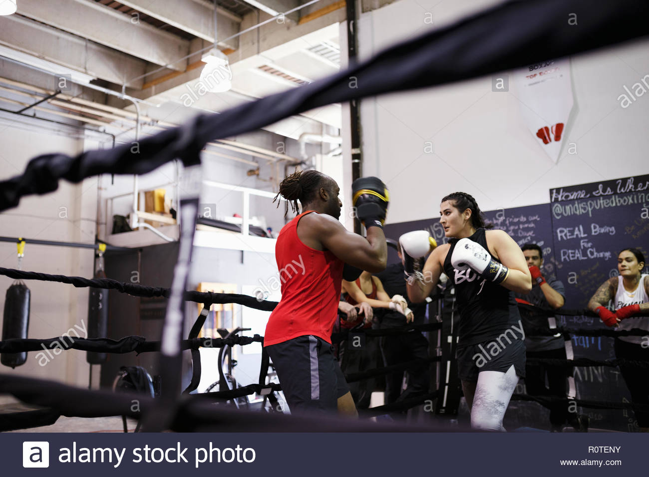 Boxers training in boxing ring in gym Stock Photo Alamy