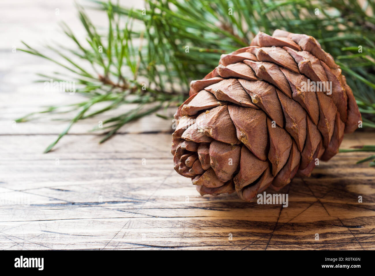 Pine cones and spruce branches on wooden background. Selective focus.Copy space. Stock Photo