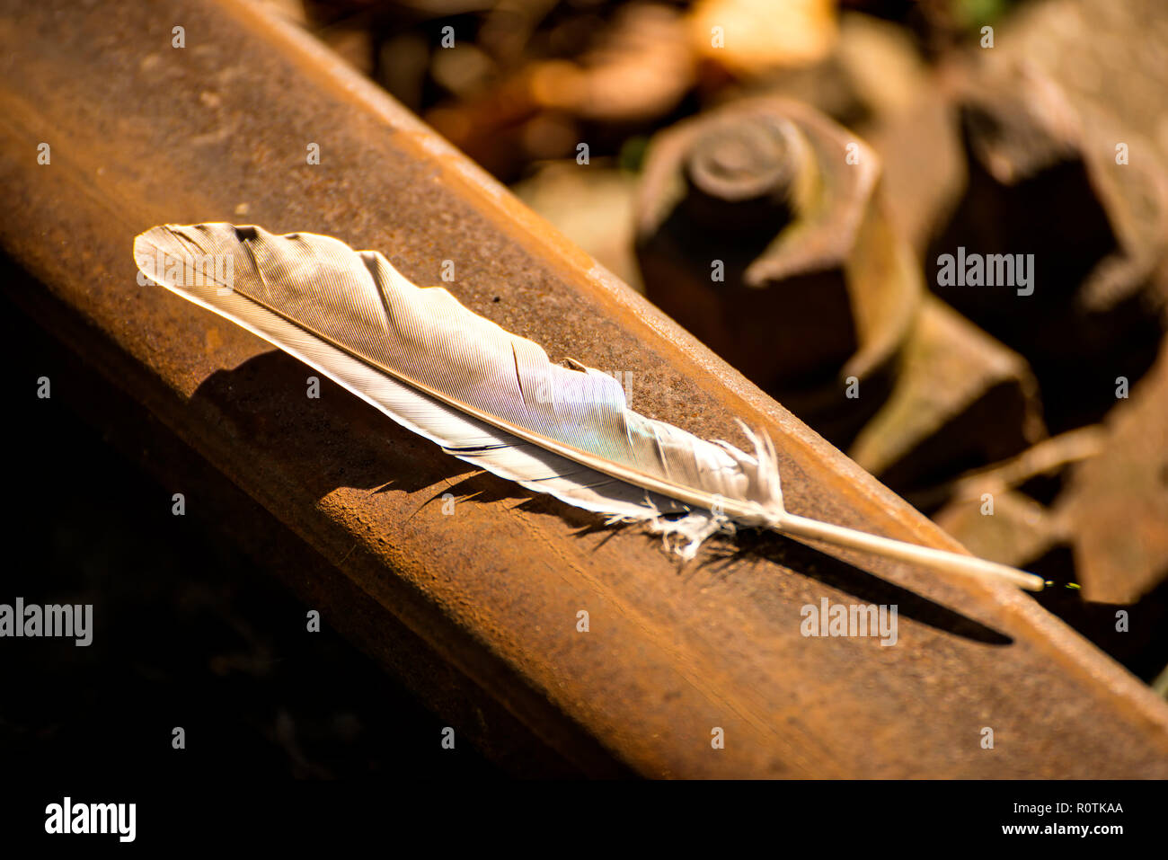 feather on a railway track Stock Photo - Alamy