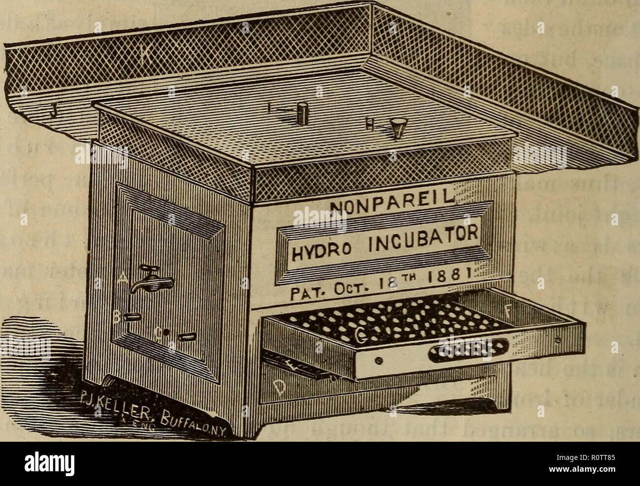 "Artificial incubation and incubators .." (1883 Stock Photo Alamy