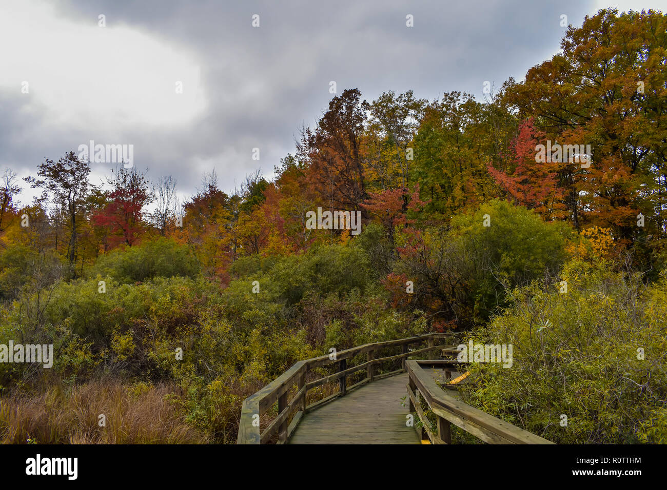 Boardwalk in autumn, Huron Nature Center, Midwest, Michigan. The Fall colors were amazing at this little park. Stock Photo