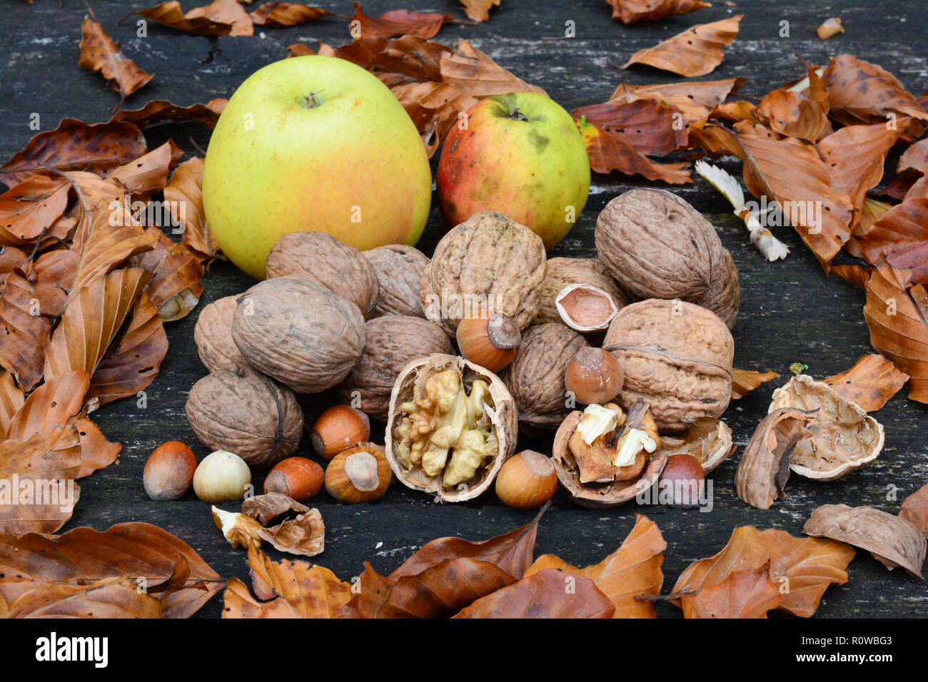 Heap of walnuts and hazelnuts, peeled walnut with visible cernel and broken shell in foreground and heap of walnuts, hazelnuts, wild apples and autum Stock Photo