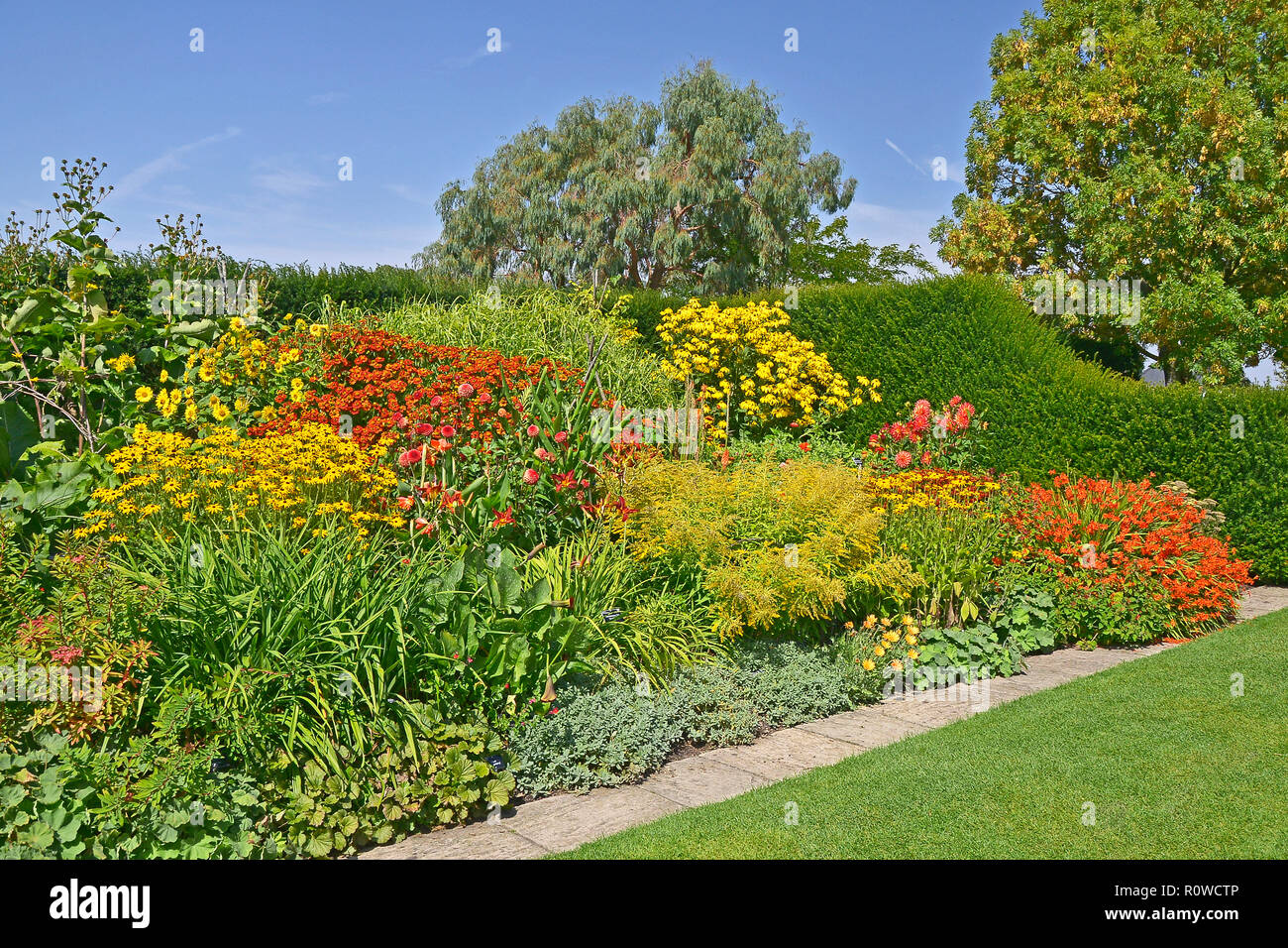 A colourful enclosed Garden 'Room' well planted with mixed planting including, crocosmia, heleniums, dahlias, coreopsis and rudbeckia and grasses Stock Photo
