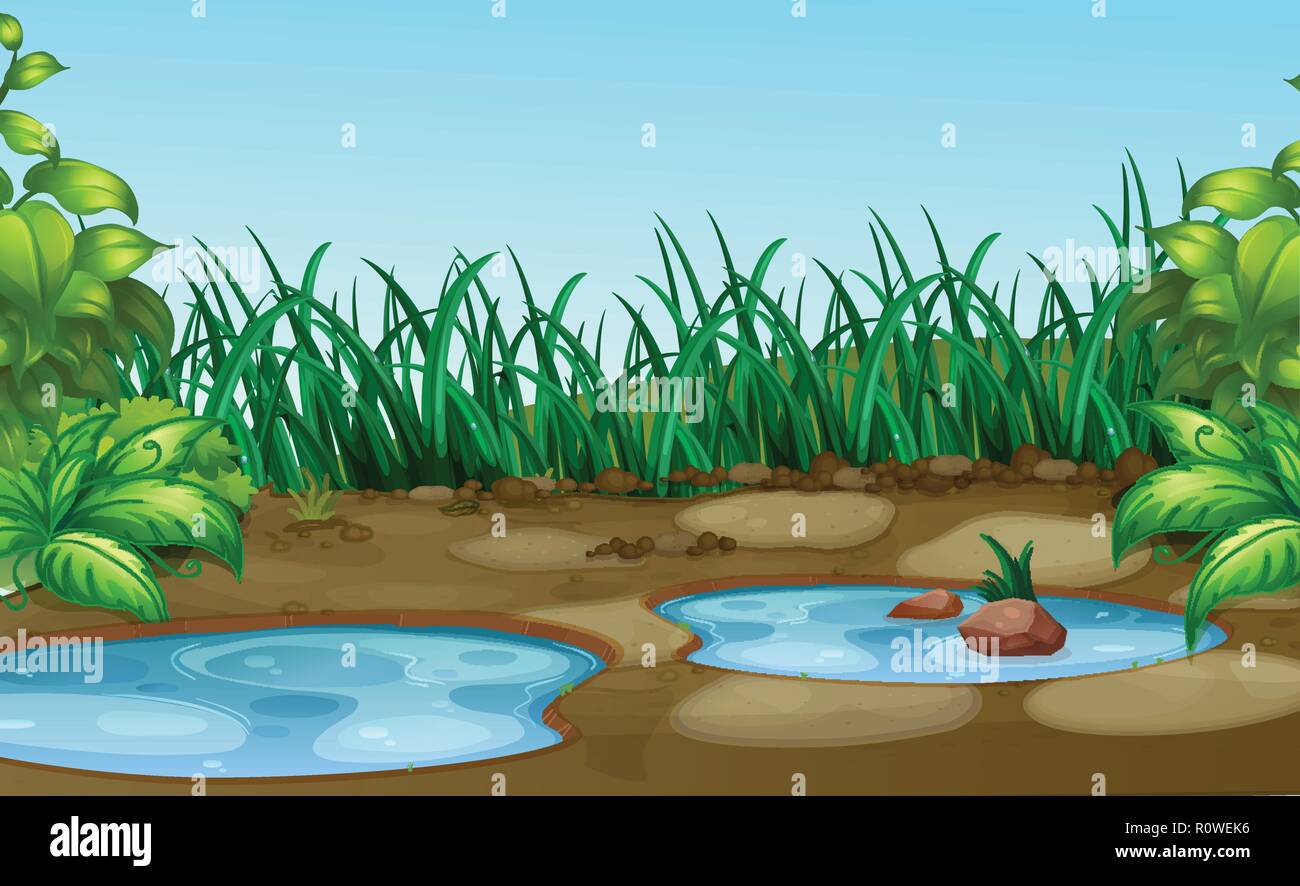 Small water hole in natue illustration Stock Vector Image & Art Alamy