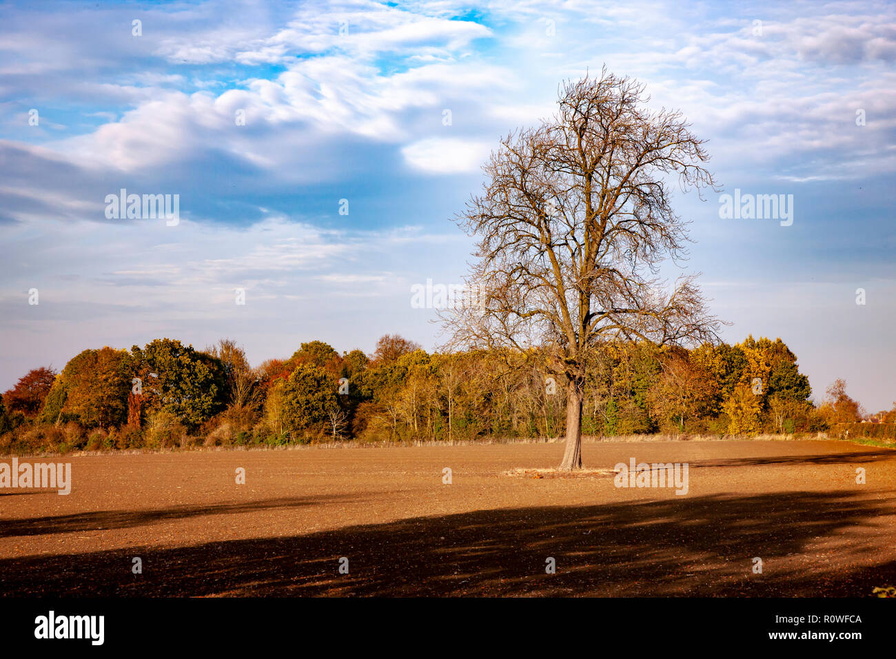 rural, county view, no people, no one, no persons, peaceful, Northamptonshire Countyside in Autumn Stock Photo