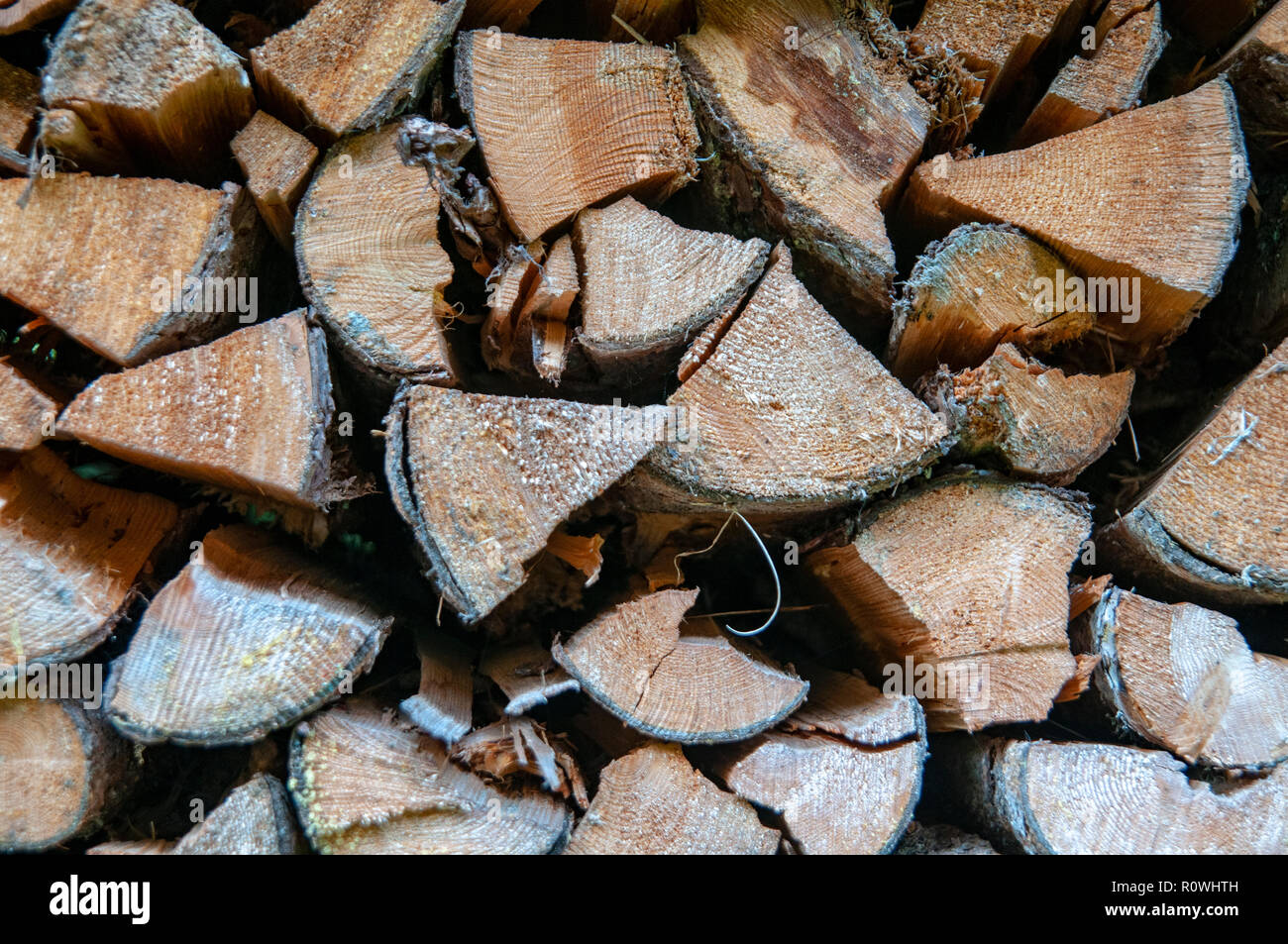 Stack of fire wood in a shed front view Stock Photo