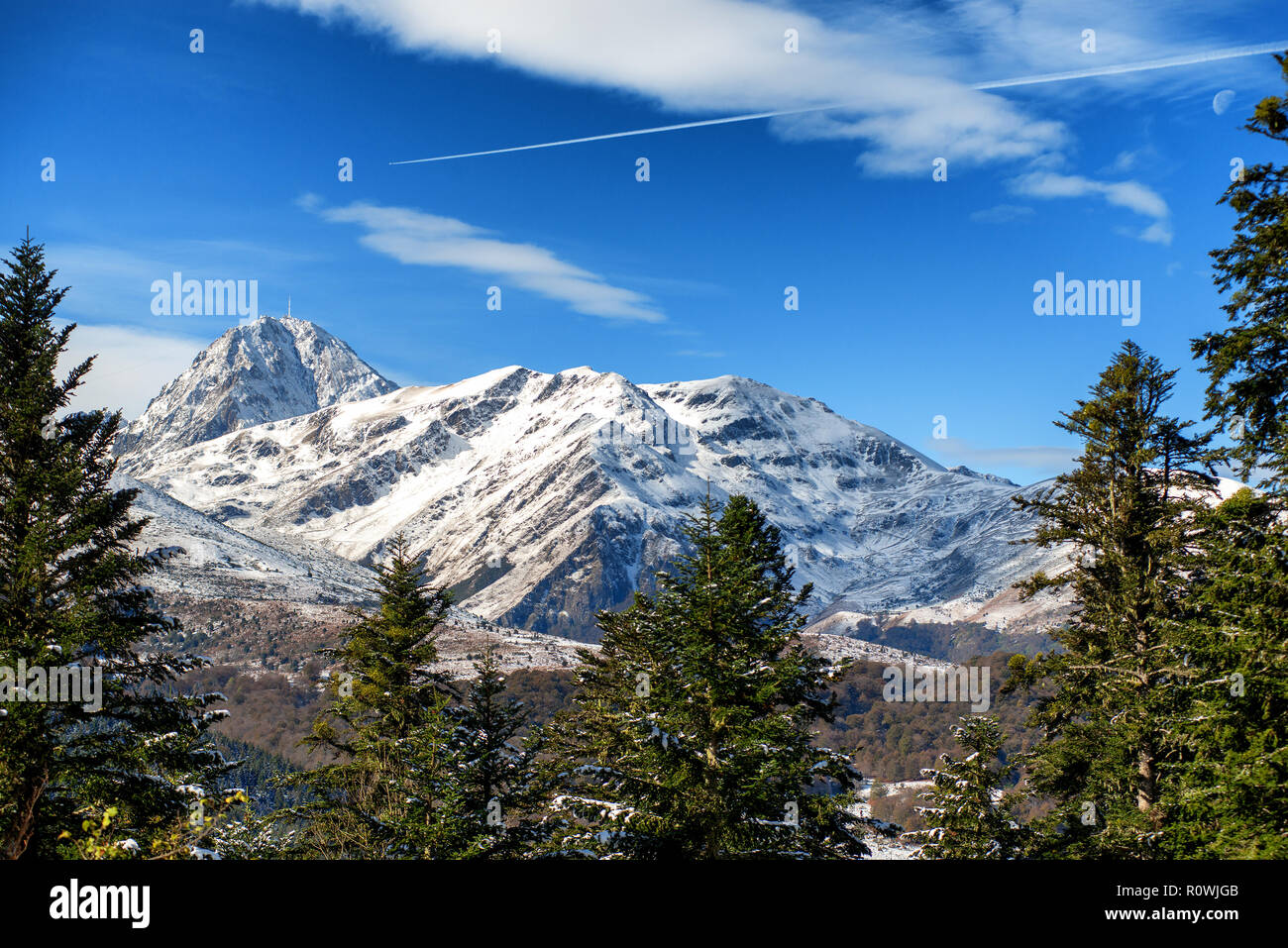 view of fir trees in french pyrenees mountains with Pic du Midi de Bigorre in background Stock