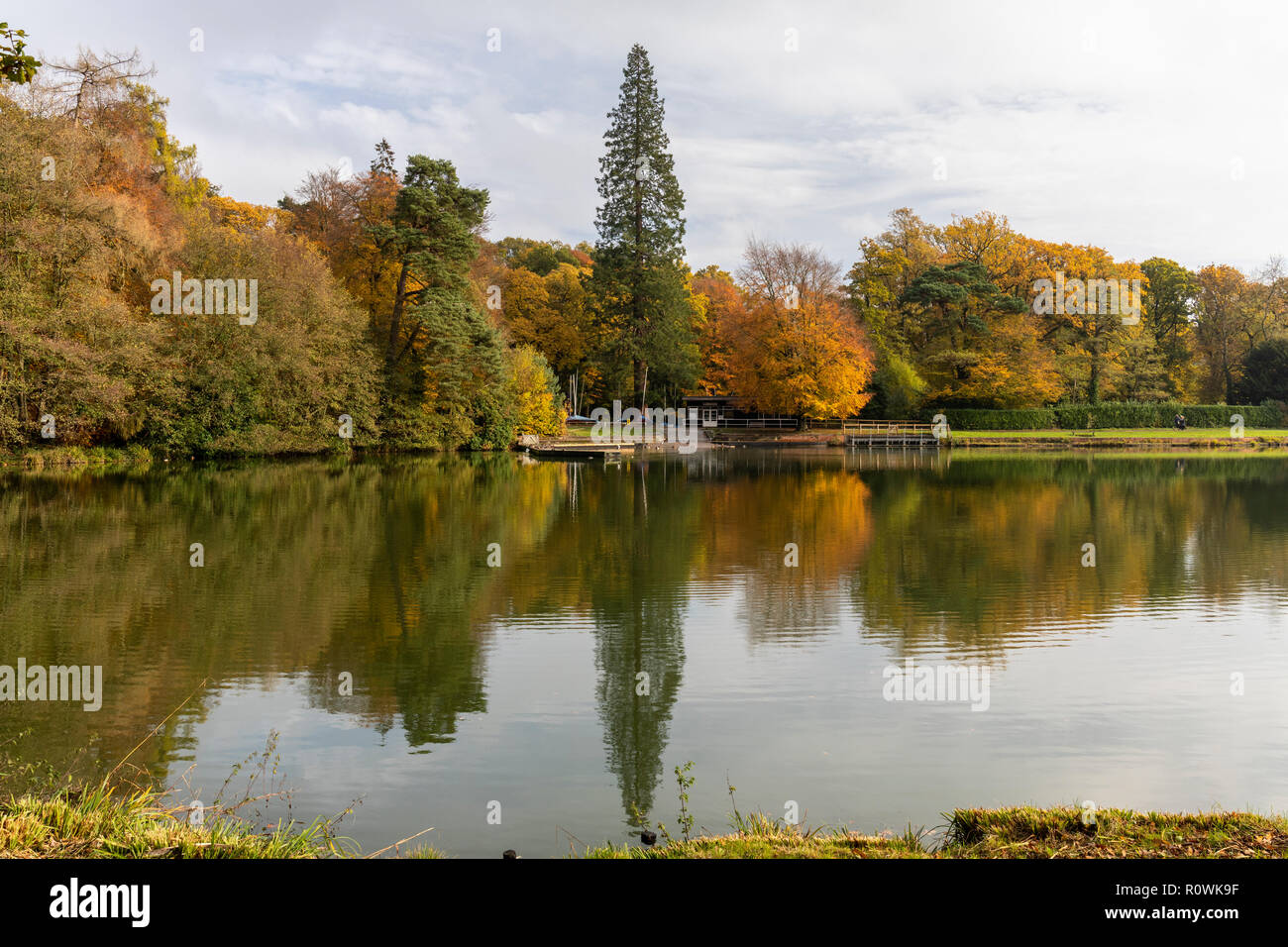 Autumn reflections in the water from the trees around Shearwater lake, The Longleat Estate, Wiltshire, England, UK Stock Photo