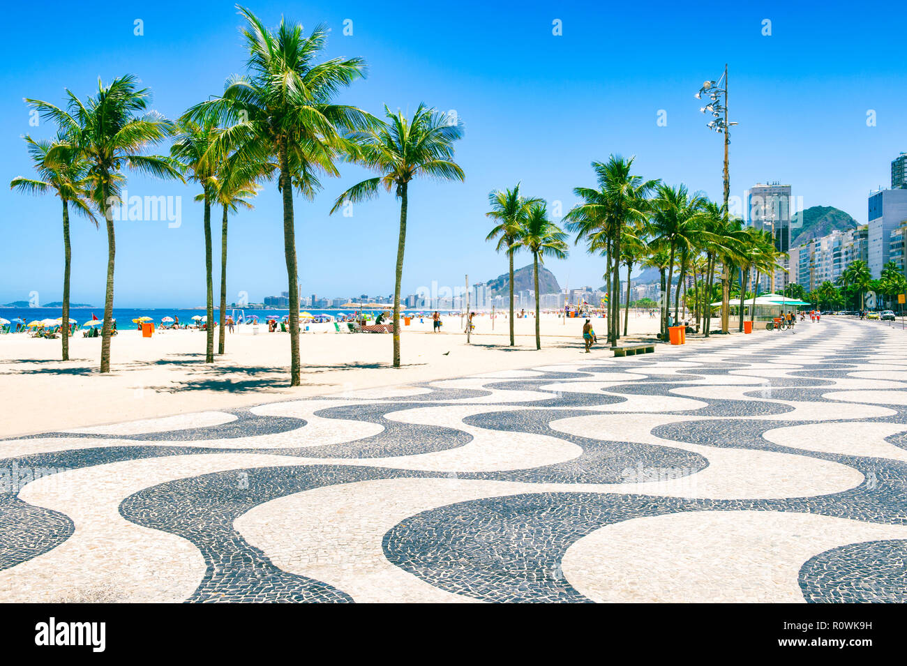 Bright morning view of the curving boardwalk tile pattern with palm