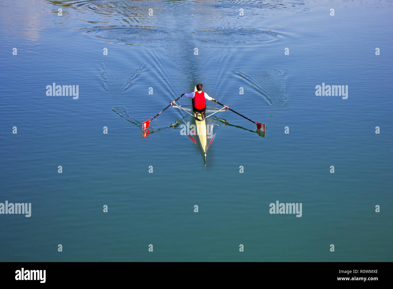 Single scull rowing competitor, rowing race one rower Stock Photo